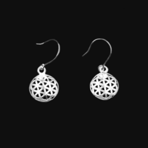 Silver Hanging Earring (CA-EL 150)