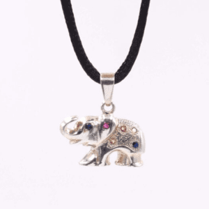 Silver Pendant with Semi Precious Gems (CA-PF 167)